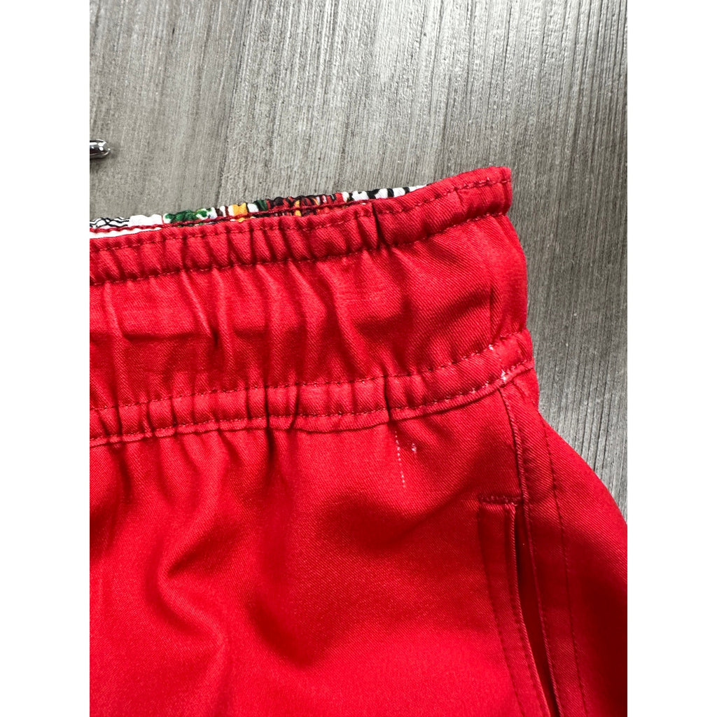 Robert Graham Traveling Swim Trunks Around the World — Size Large