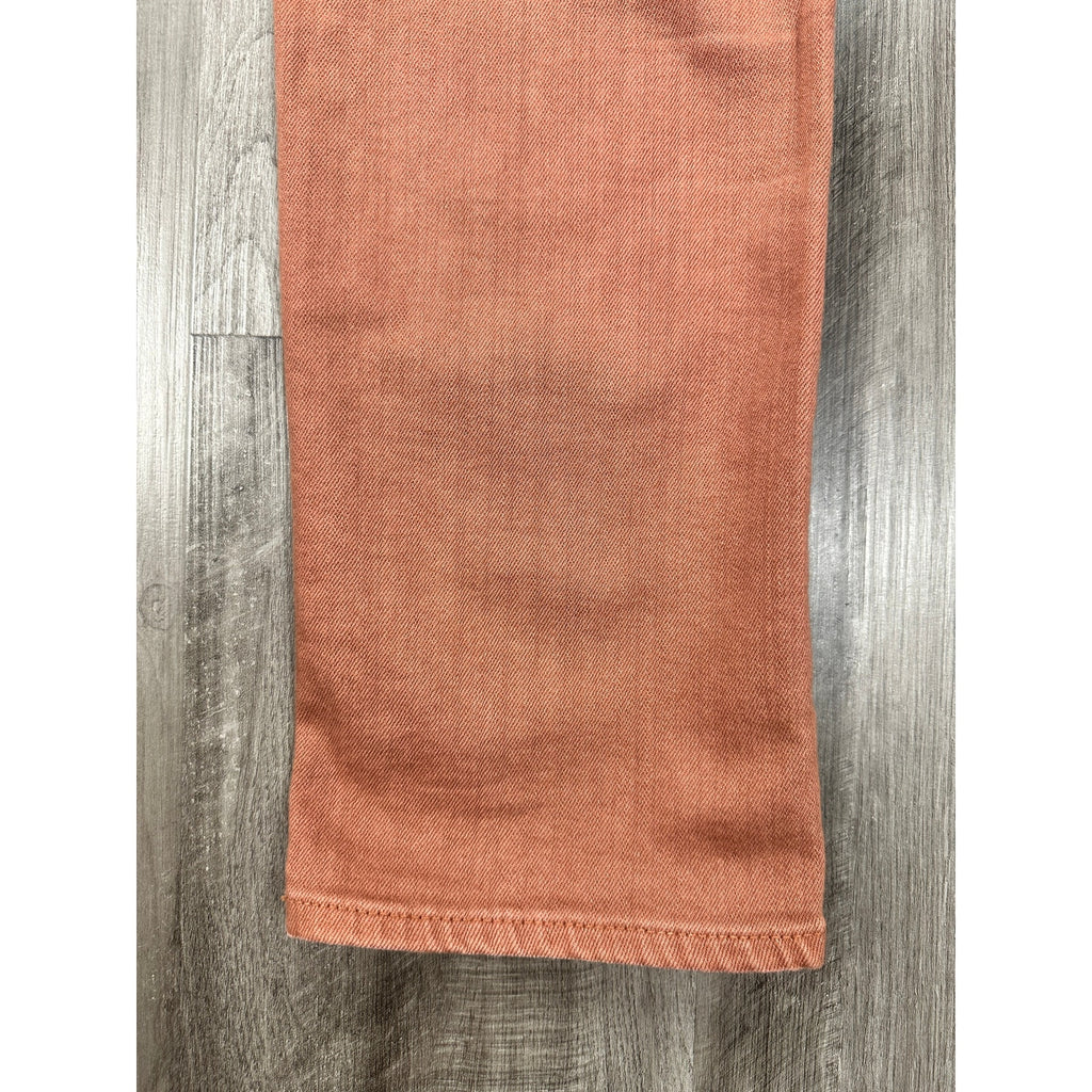 AG Adriano Goldschmied The Tellis Modern Slim AG-ED Denim Jeans in Adobe Clay — Size 33R // Preowned