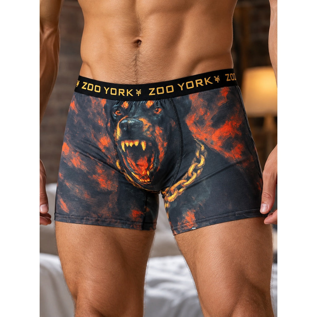 Zoo York Super Soft Brushed Performance Boxer Briefs - 4 Pack — Size Large