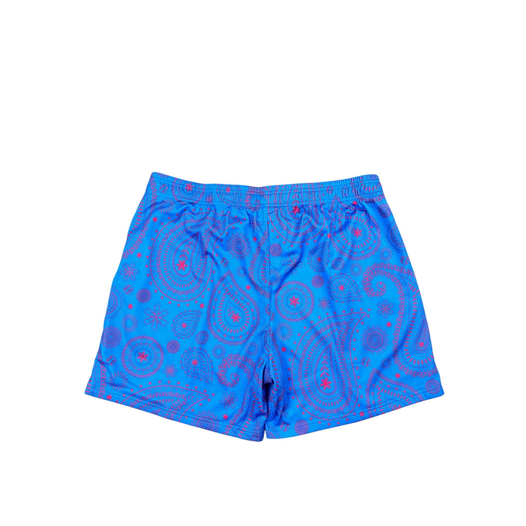 Baseball Lifestyle 101 Paisley Mesh Athletic Shorts in Blue, Pink — Size XL