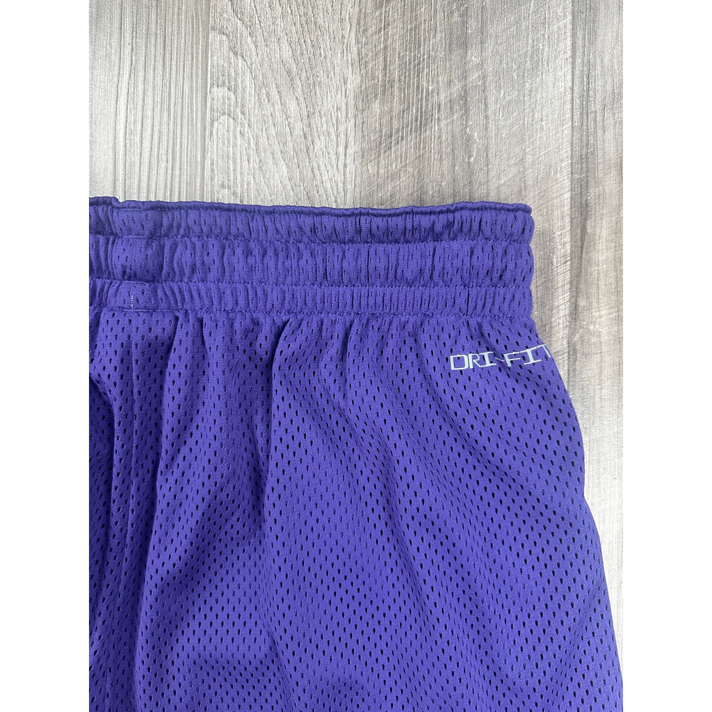 Nike TCU Horned Frogs Loose Fit Mid-Thigh Dri-FIT Mesh Athletic Shorts in Purple — Size Large