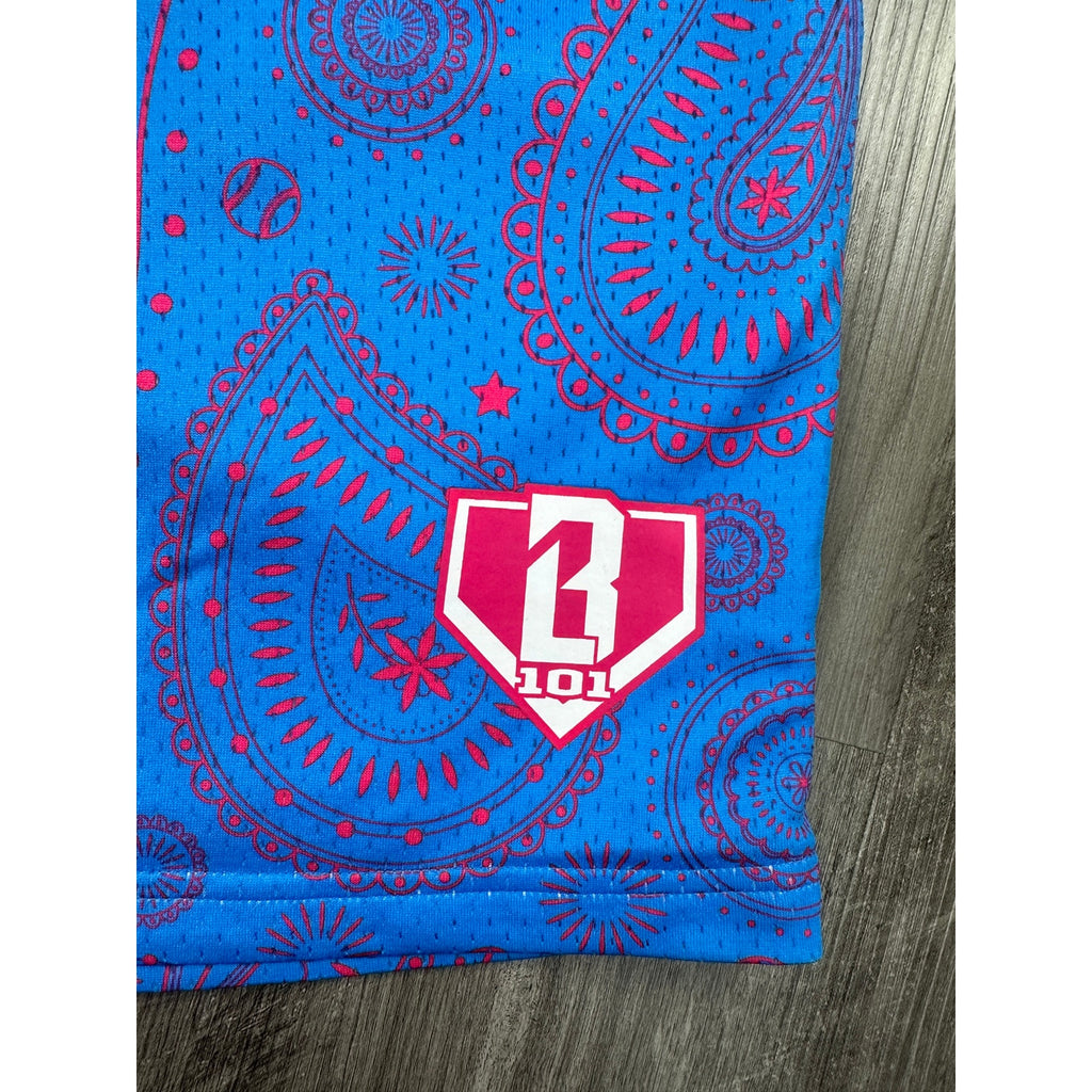 Baseball Lifestyle 101 Paisley Mesh Athletic Shorts in Blue, Pink — Size XL