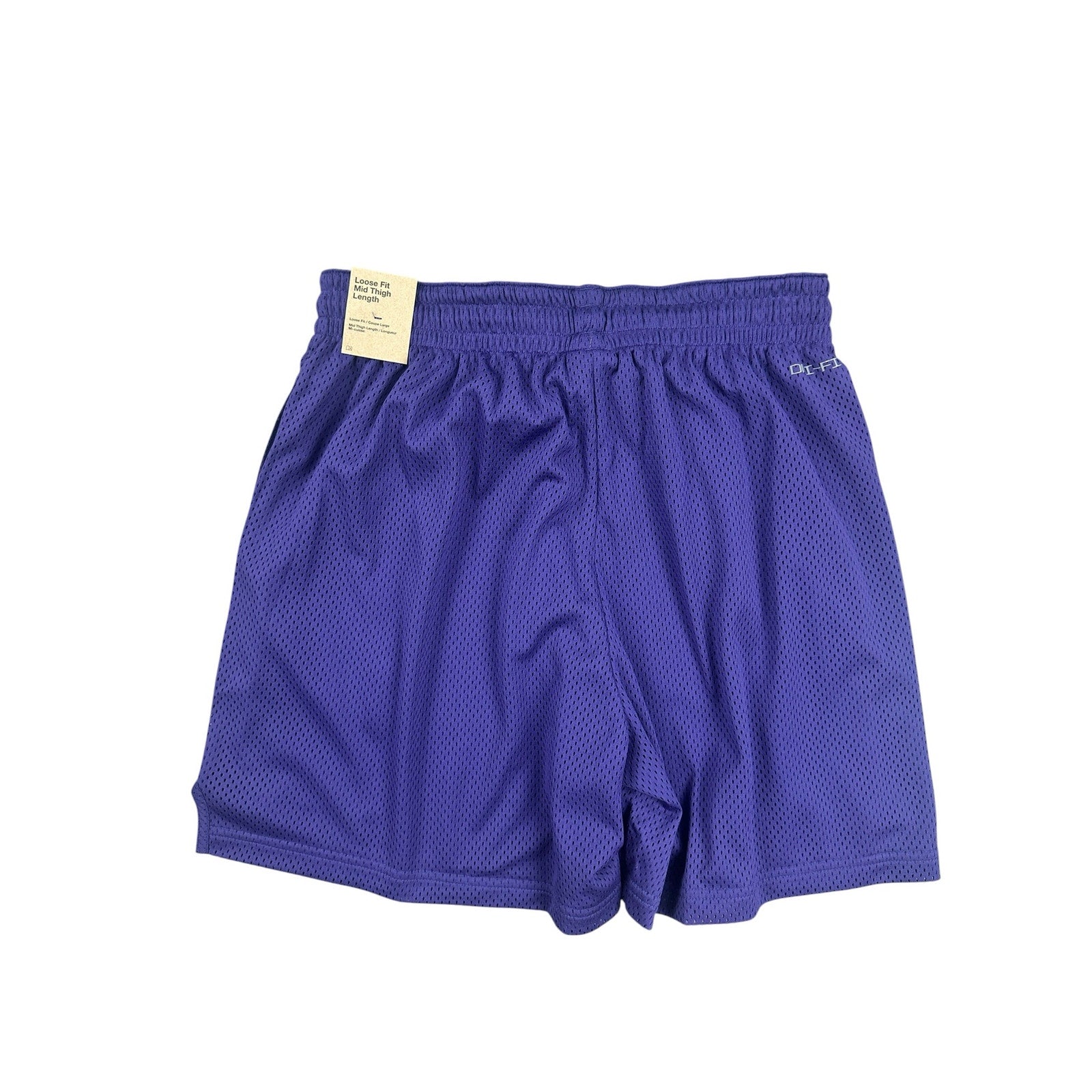 Nike TCU Horned Frogs Loose Fit Mid-Thigh Dri-FIT Mesh Athletic Shorts in Purple — Size Large