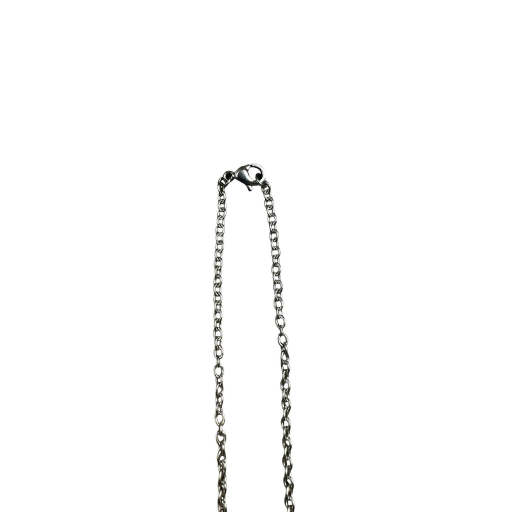 Andrew Christian Paw Print Necklace in Silver — One Size