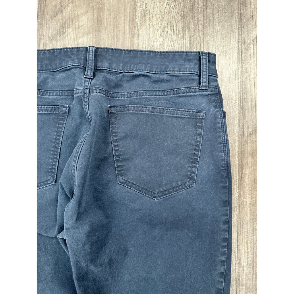 Flint & Tinder Straight Fit 5 Pocket Chino Pants in Navy — Size 31x30 // Preowned